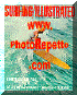 usa-surfing illustrated.GIF (36278 byte)