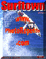 usa-surftown.GIF (33556 byte)